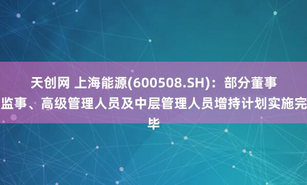 天创网 上海能源(600508.SH)：部分董事、监事、高级管理人员及中层管理人员增持计划实施完毕
