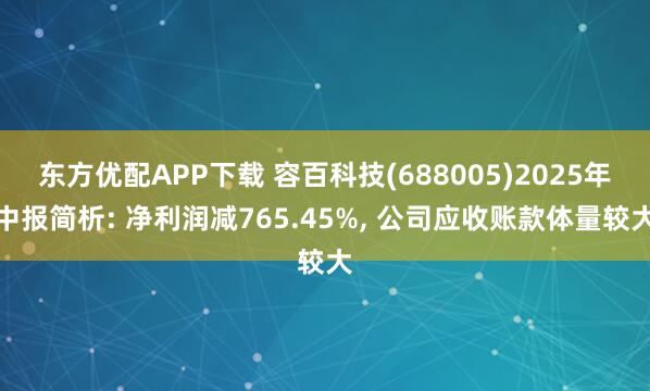 东方优配APP下载 容百科技(688005)2025年中报简析: 净利润减765.45%, 公司应收账款体量较大